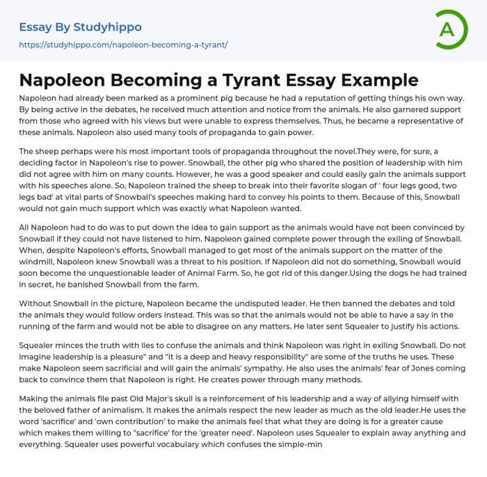 Was napoleon a hero or tyrant essay