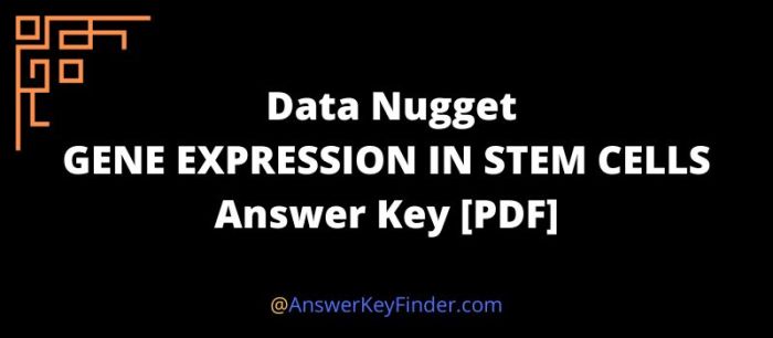 Data nugget gene expression in stem cells