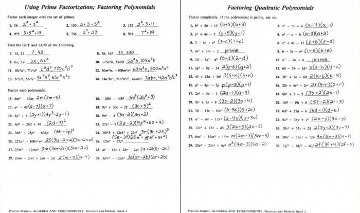 Mcdougal littell algebra 1 answers pdf