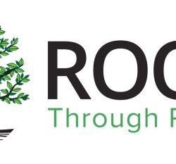 Roots and branches integrative healthcare