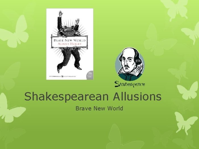 Brave allusions literary ppt powerpoint presentation