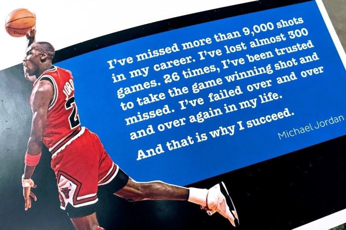 Michael jordan a profile in failure