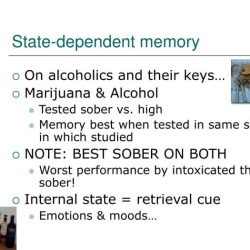 Context and state dependent memory worksheet