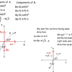 Adding vectors gizmo answer key