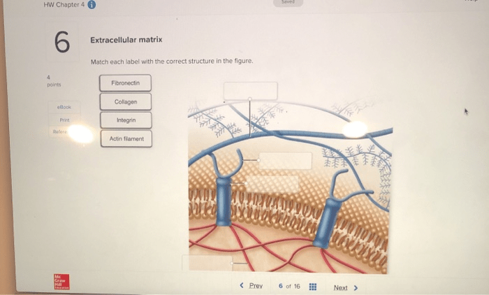 Structure correct cellular