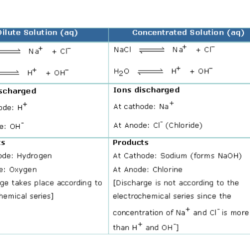 Chem abundance isotopes ch101