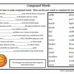 State-federal tug of war worksheet answers key